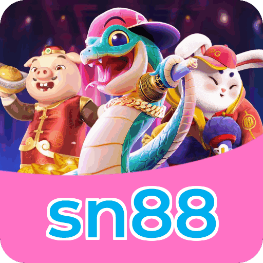 sn88 — instalação e tratamento de dados na plataforma
